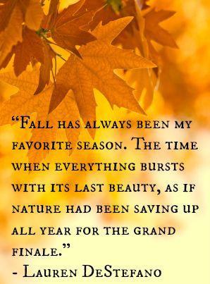 Tips to Get Your Hair in Shape for Fall