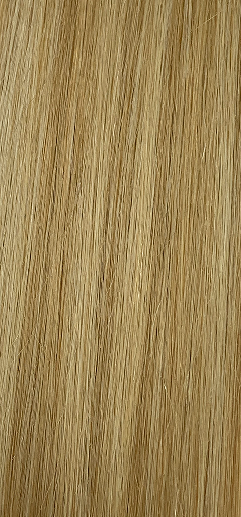 Tape Ins - Malibu Blonde