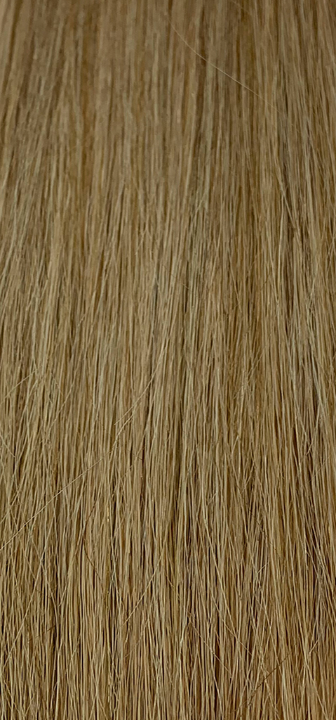 Tape Ins - Winter Beige Blonde