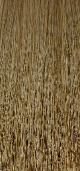 Tape Ins - Winter Beige Blonde