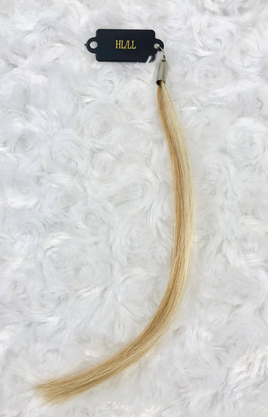 Queen C Hair Color Swatch Color Swatch - Highlight/Lowlight